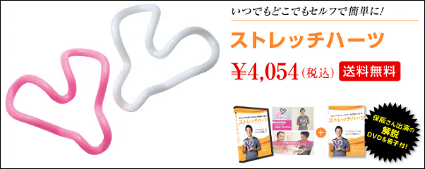 ストレッチハーツ ビックカメラ