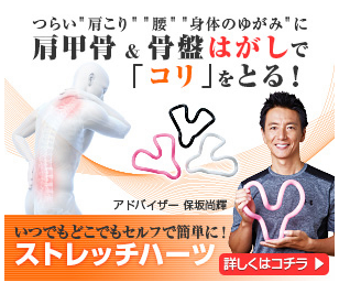 ストレッチハーツ ビックカメラ